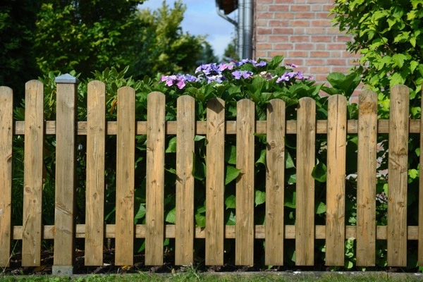 Professional Fence Staining Lewisville TX